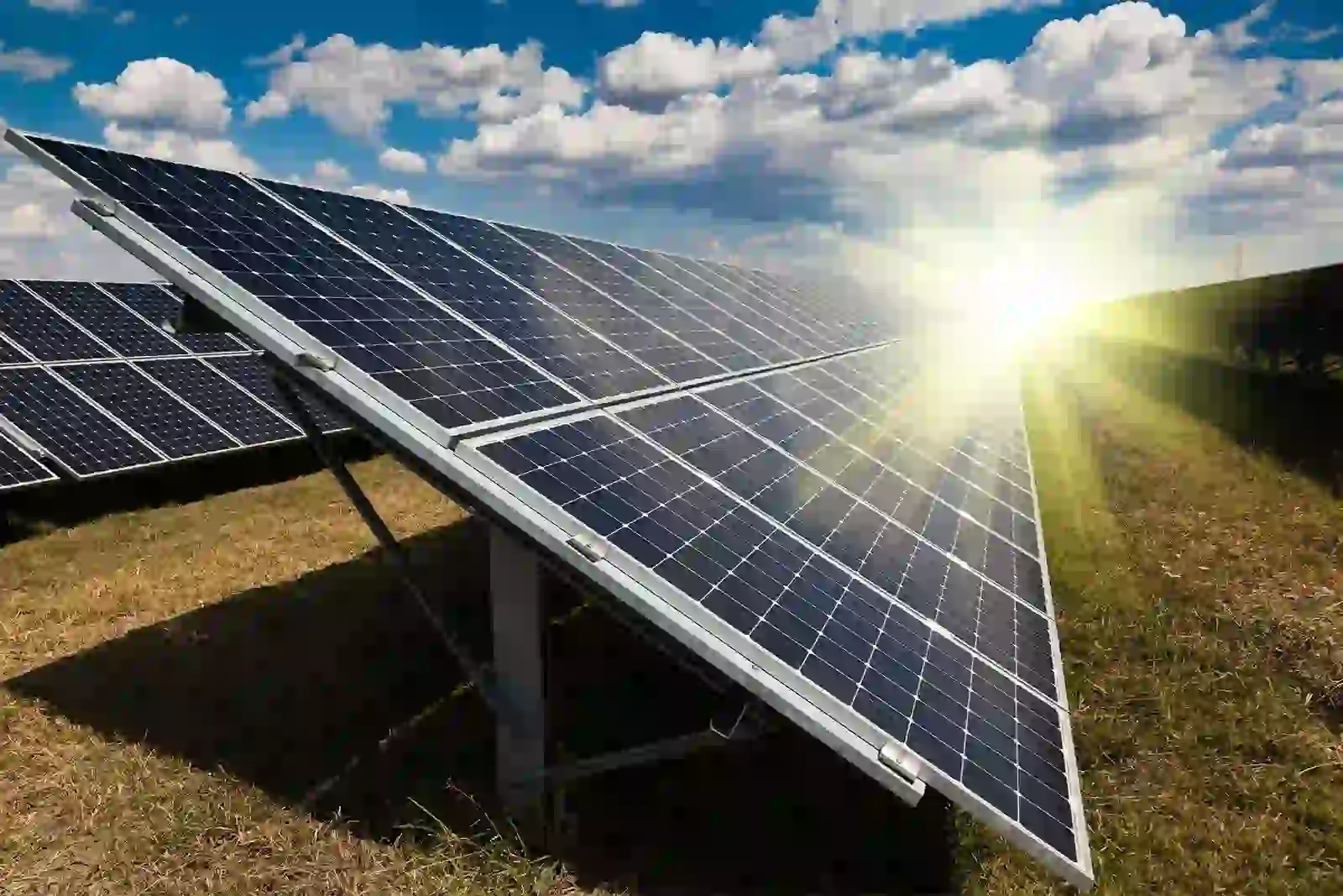 panels-electricity-order